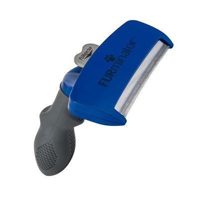 Imagen 2 del producto Cepillo Pelo Corto Large Perro