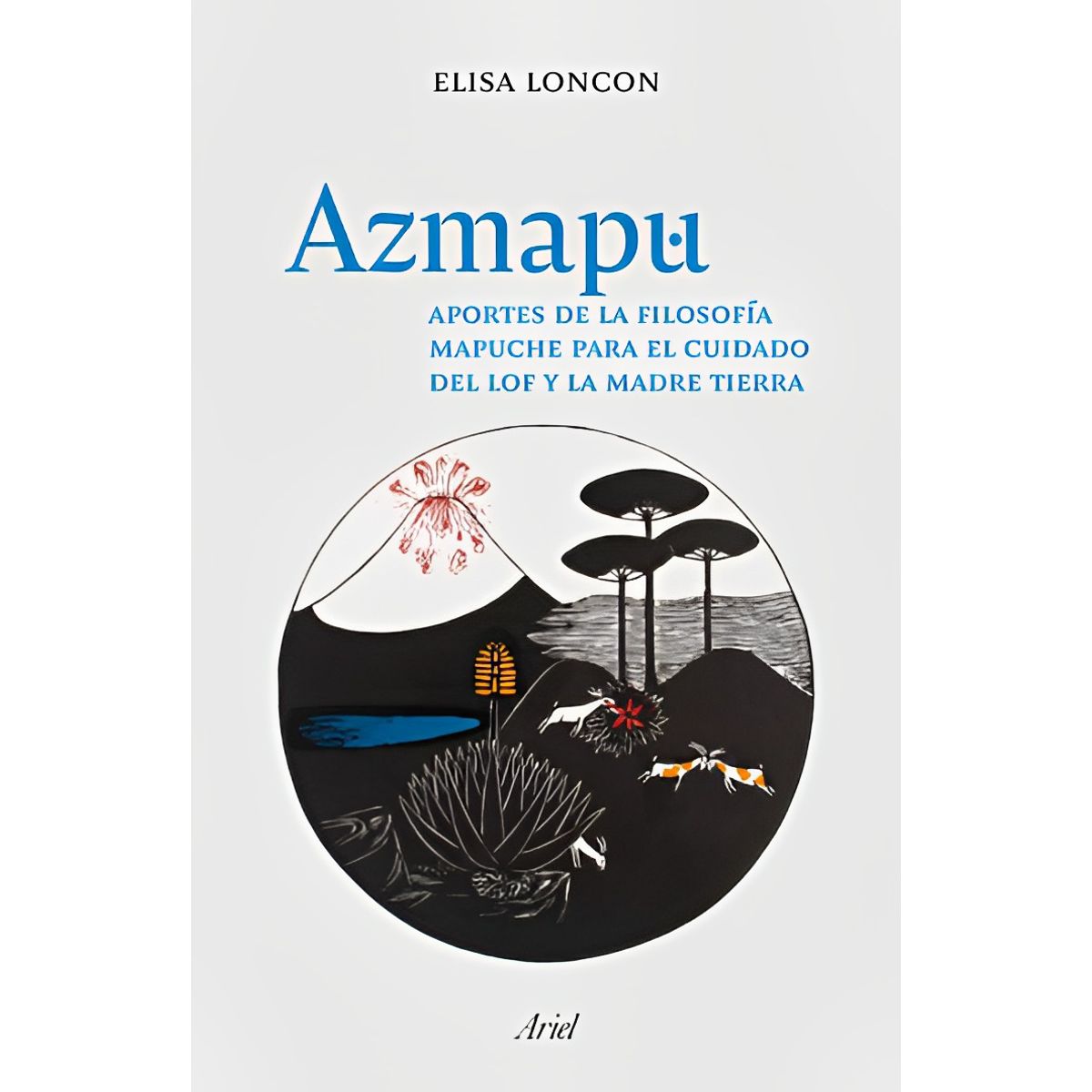 TOP10BOOKS - LIBRO Azmapu - Azmapu