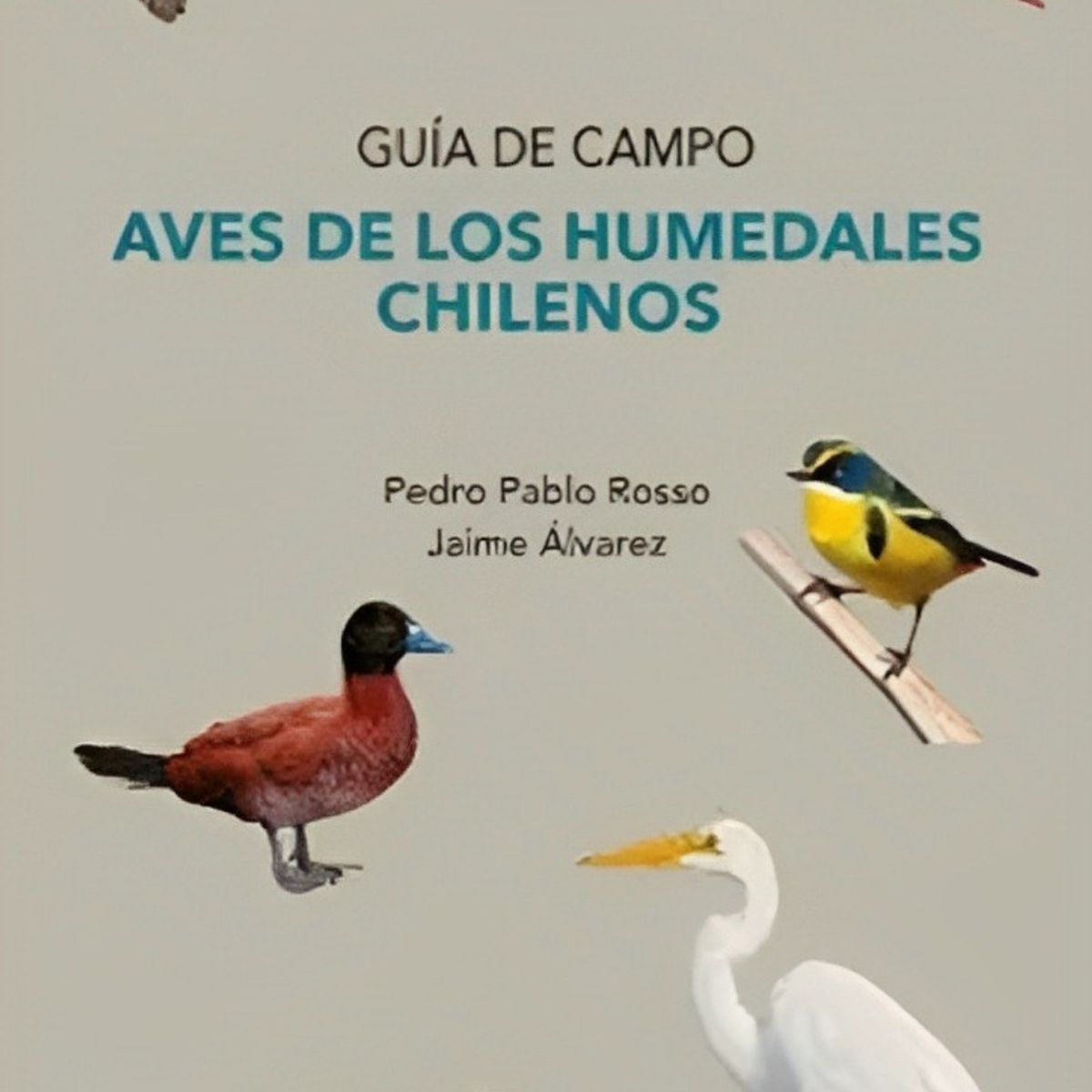 TOP10BOOKS - LIBRO Aves De Los Humedales Chilenos - Aves De Los Humedales Chilenos