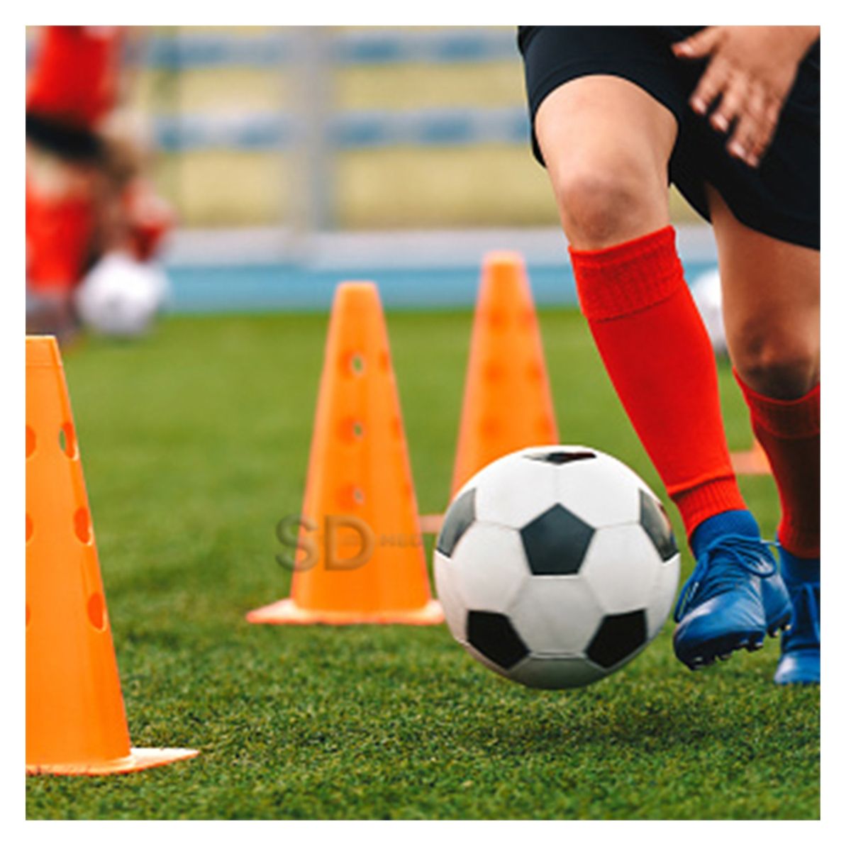 SDFIT - Pack 6x Con de agilidad con orificios 48 cm – MK-845