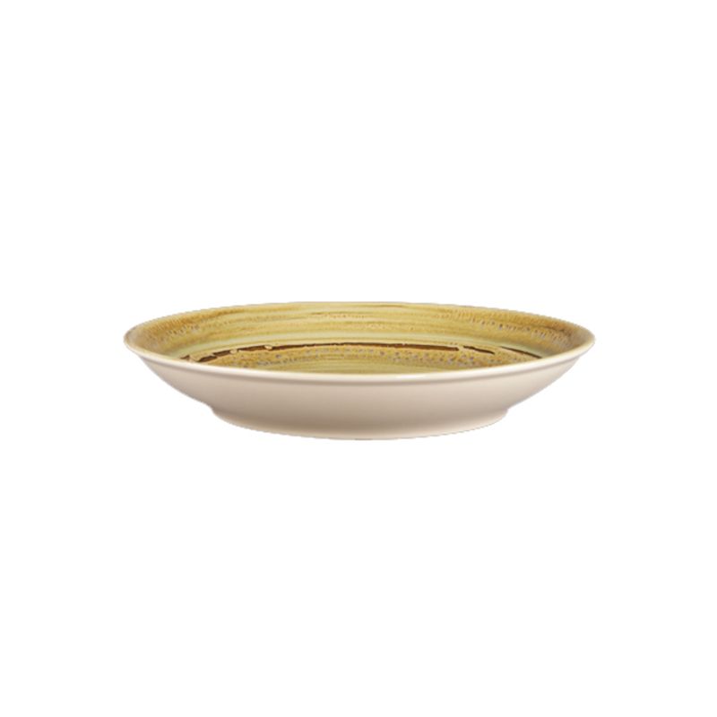 RAK PORCELAIN - PLATO HONDO PORCELANA GARNET 28CM SPOT RAK RAK PORCELAIN