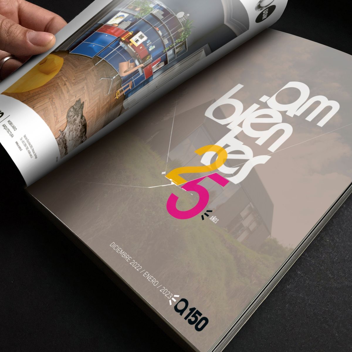 REVISTA AMBIENTES - Revista Ambientes Edición 150