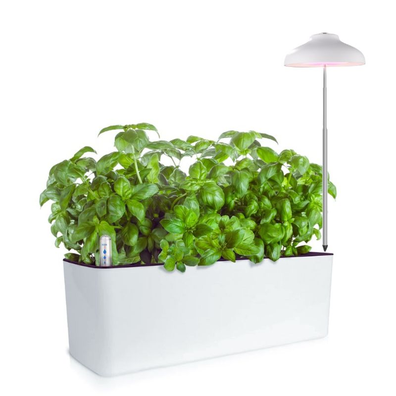 GROWLED - PACK-PLANTER macetero autorregante y LUZ cultivo indoor para plantas
