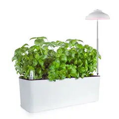GROWLED - PACK-PLANTER macetero autorregante y LUZ cultivo indoor para plantas