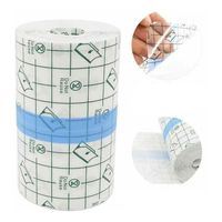 Parche Para Tatuaje 20cms X 100cms