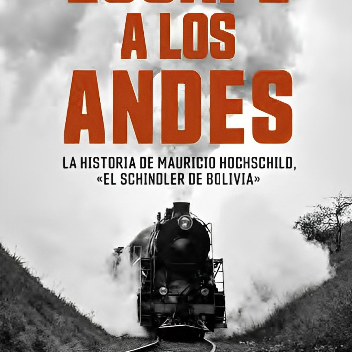 TOP10BOOKS - LIBRO ESCAPE A LOS ANDES /704