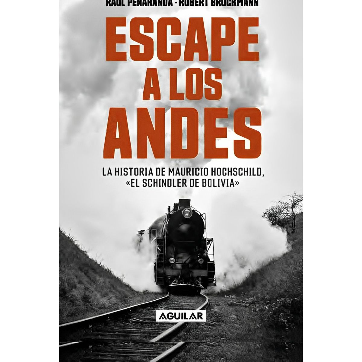 TOP10BOOKS - LIBRO ESCAPE A LOS ANDES /704