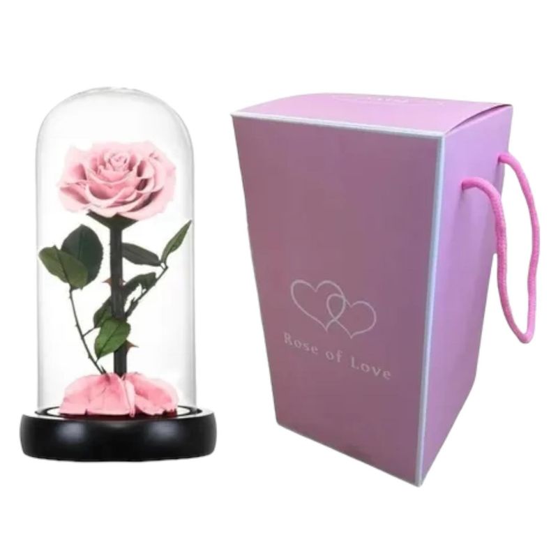 UNIVERSAL - CUPULA COLOR ROSA LED