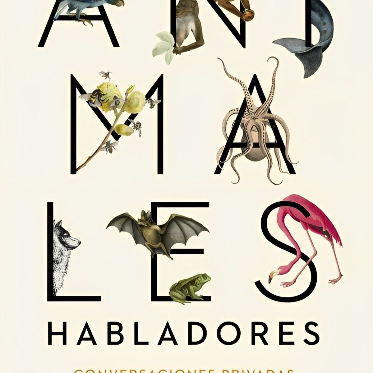 TOP10BOOKS - LIBRO Animales Habladores - Animales Habladores