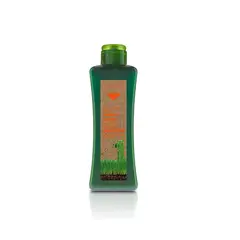 SALERM - Shampoo Cabellos Tratados Biokera 300 ml