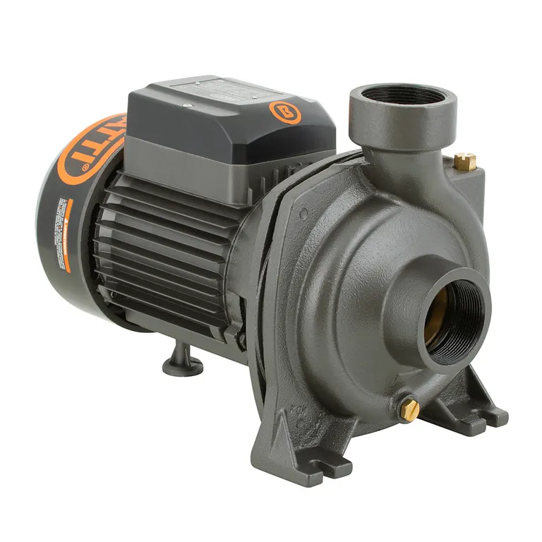 Electrobomba superficie 2 HP centrifuga gran caudal