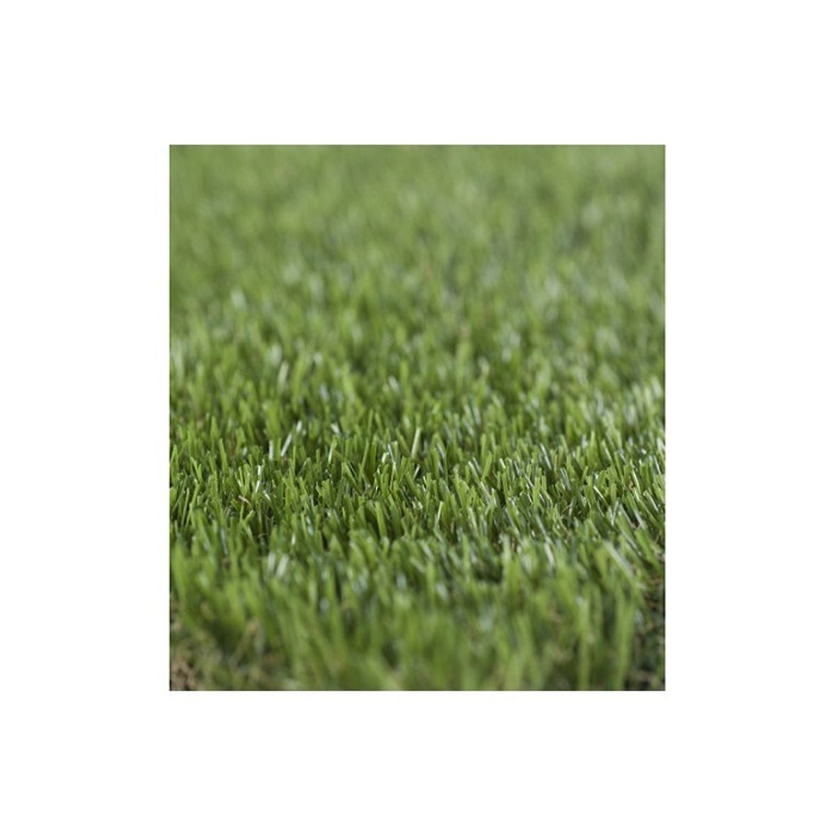 SIGNET CLASSICS - Pasto Sintetico 25mm  2x2 Metros Signet