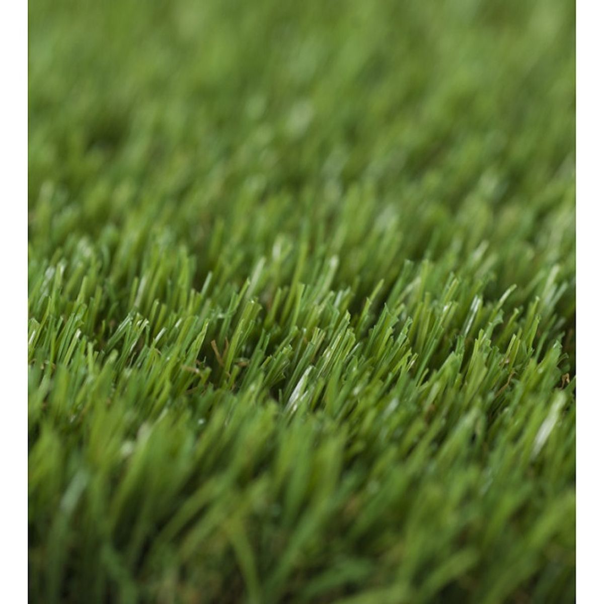 SIGNET CLASSICS - Pasto Sintetico  35mm 2X1 Metros Signet