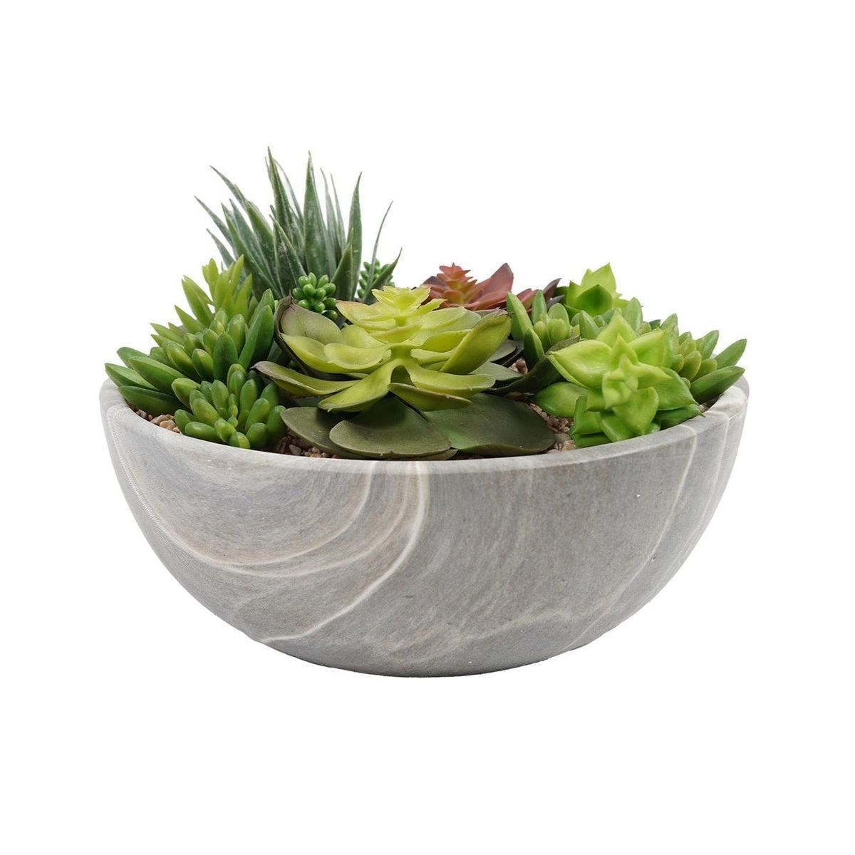 THE GREEN ELEMENT - Mix Suculentas Planta Decorativa con Macetero 24 Cm