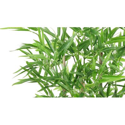 Imagen 2 del producto Planta artificial Bamboo 155 Cm