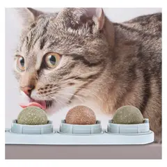GENERICO - Set De Catnip Para Gatos Mascotas