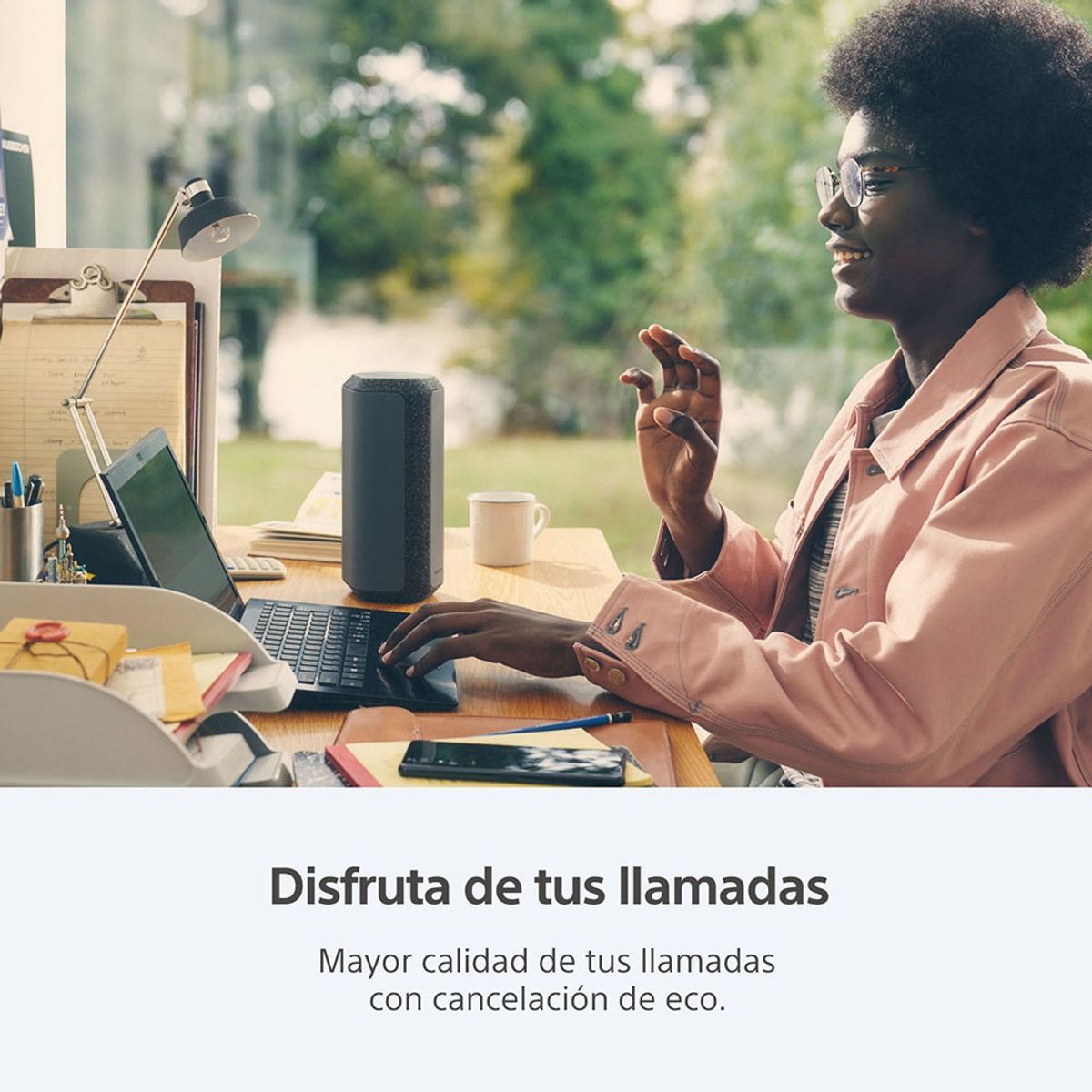 SONY - Parlante inalámbrico portátil XE300 de la serie X Gris