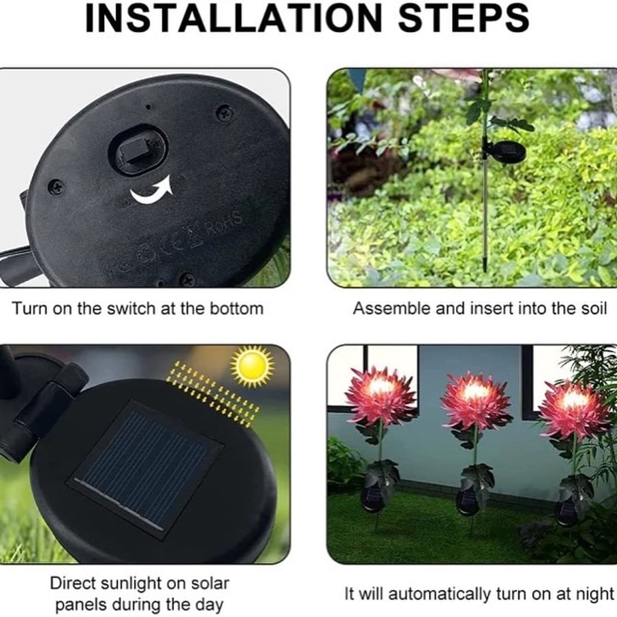 GENERICO - Crisantemo con luz solar