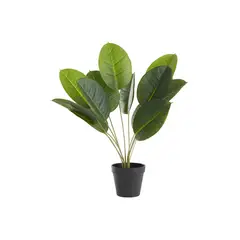 URBAN PRODUCTS - Planta artificial calatea 50cms
