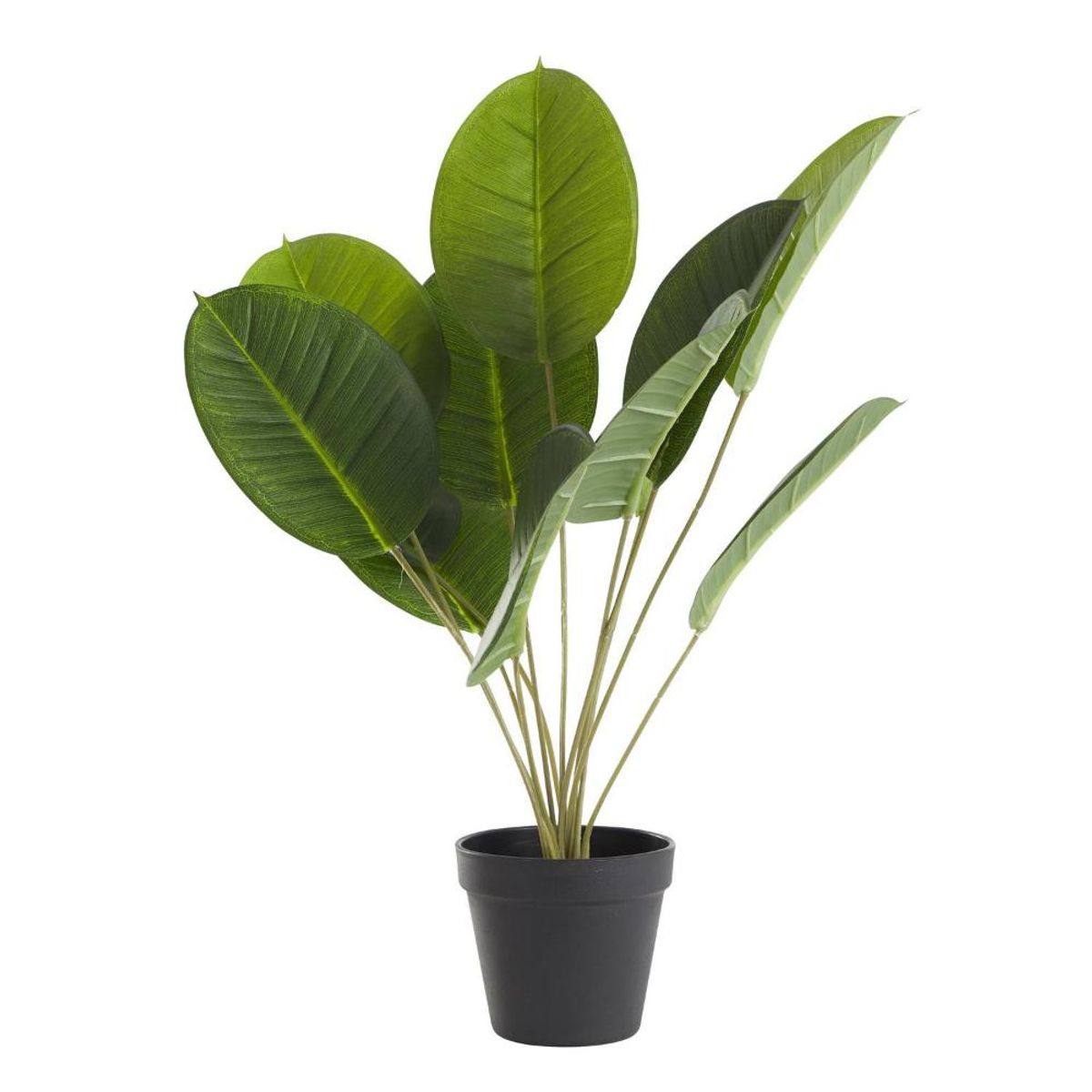 URBAN PRODUCTS - Planta artificial calatea 50cms