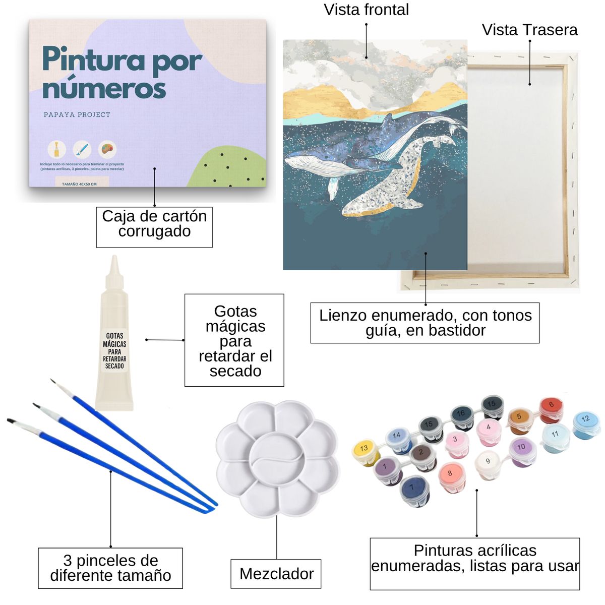 GENERICO - Pintura Por Números - Marco Incluido - Paint By Numbers 32
