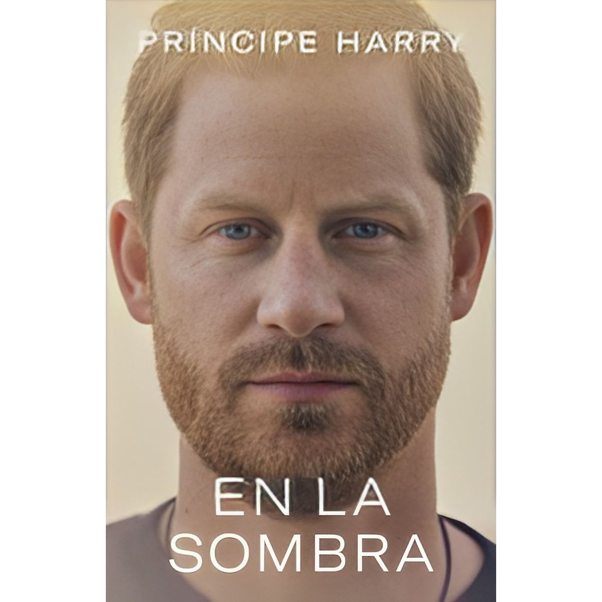 TOP10BOOKS - LIBRO En La Sombra - En La Sombra