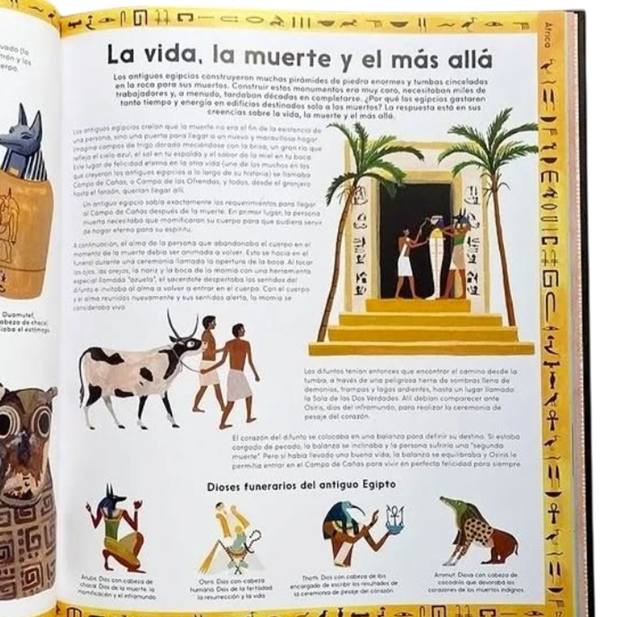 EDITORIAL CONTRAPUNTO - Secretos de la muerte. Momias y otros restos humanos