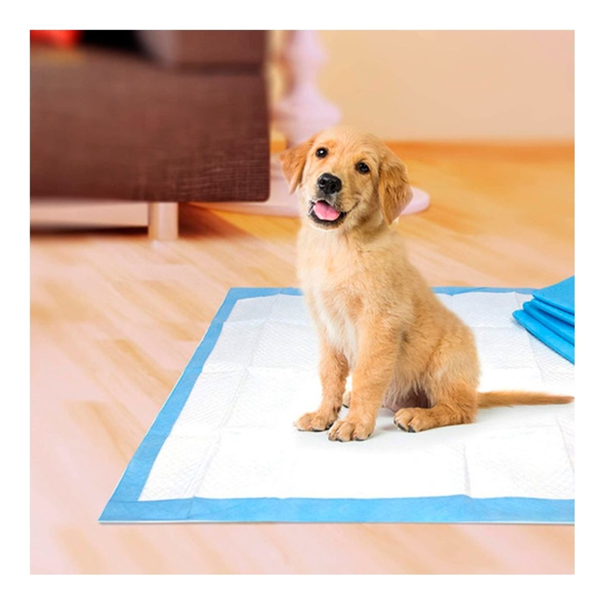 FOUR PAWS - Sabanillas para perros Wee Wee 100 unidades 57 x 58 cm