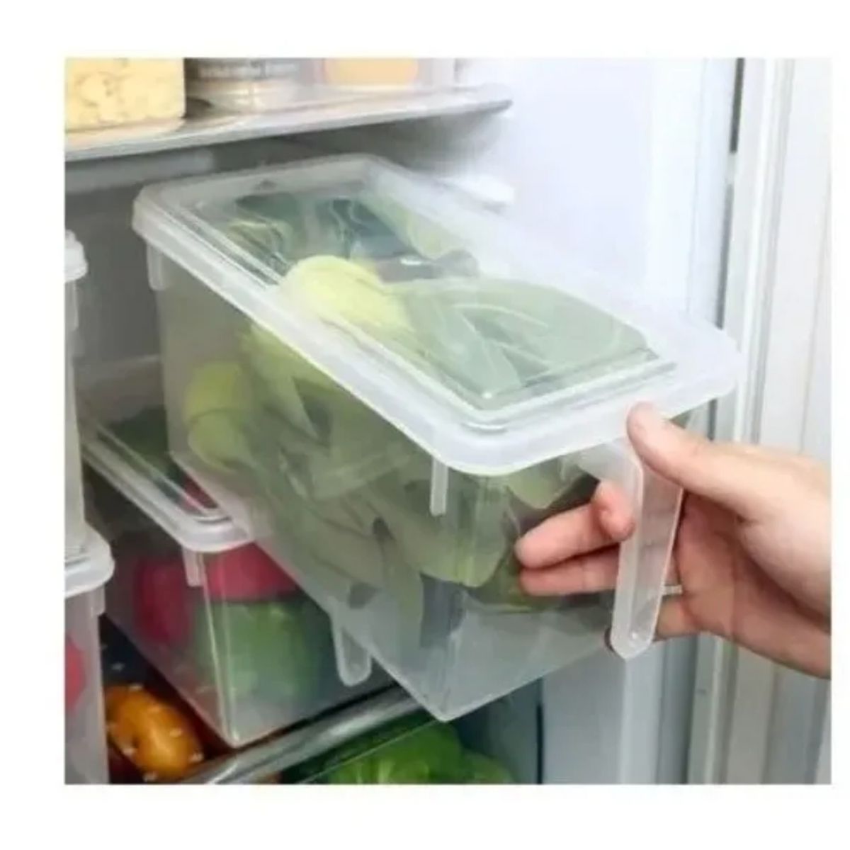 GENERICO - Organizador Refrigerador Transparente Con Tapa Y Mango