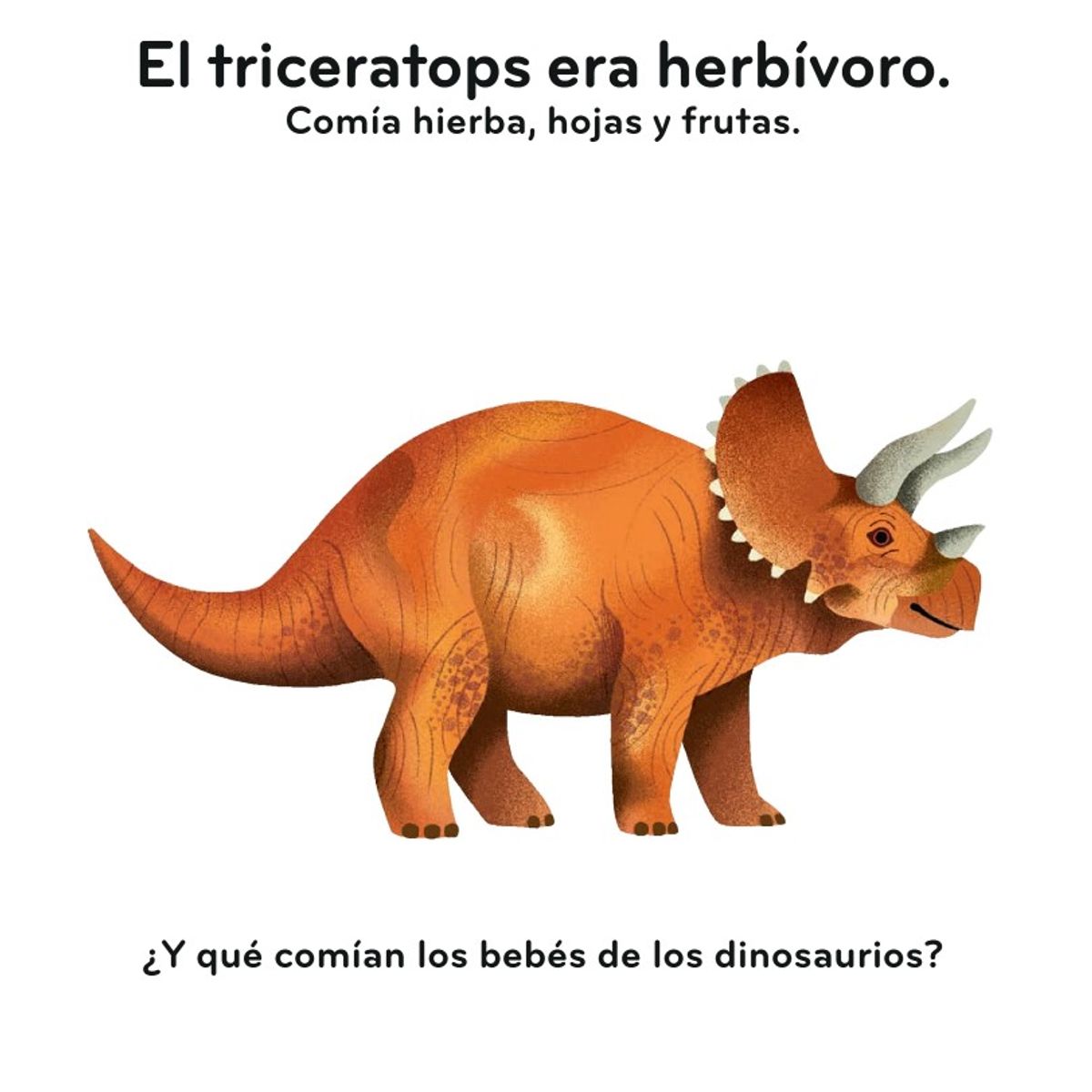 BLUME - Primeros descubrimientos – Los dinosaurios