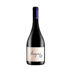 AMAYNA - Vino Syrah - Rojo