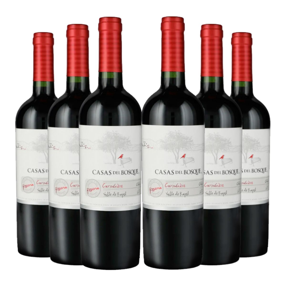 CASAS DEL BOSQUE - 6 Vinos Casas Del Bosque Reserva Carmenere