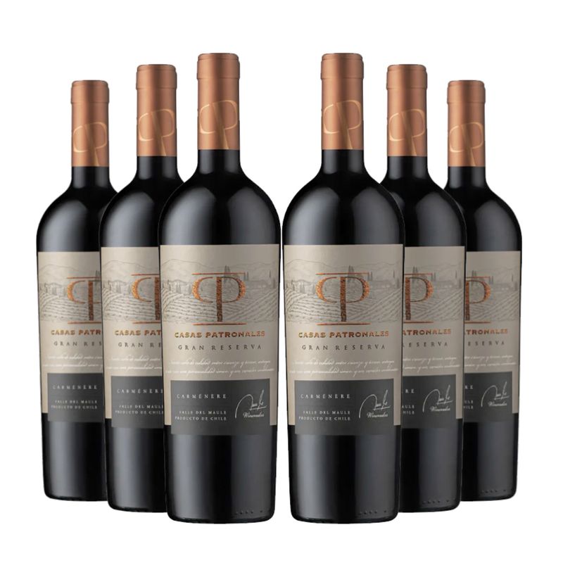 CASAS PATRONALES - 6 Vinos Casas Patronales Gran Reserva Carmenere
