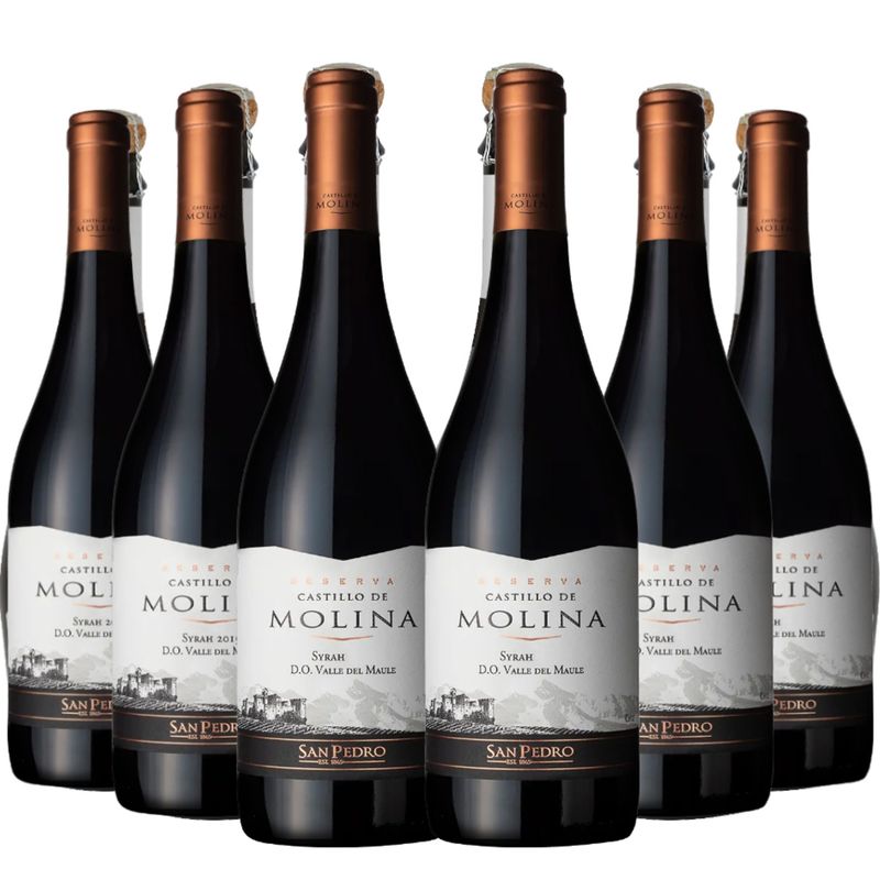 CASTILLO DE MOLINA - 6 Vinos Castillo De Molina Syrah
