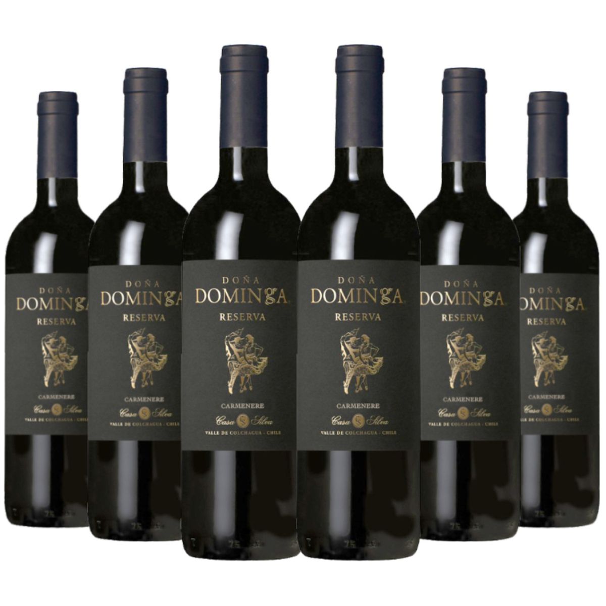 DOMINGA - 6 vinos Doña Dominga Black Reserva Carmenere