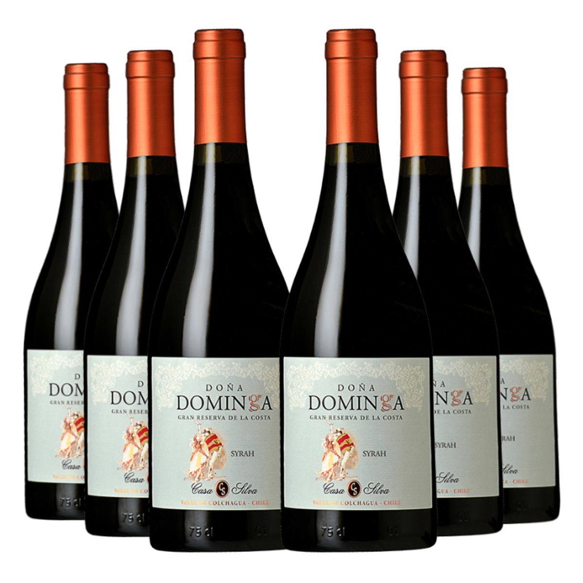DOÑA DOMINGA - 6 Vinos Doña Dominga Reserva De Familia Syrah