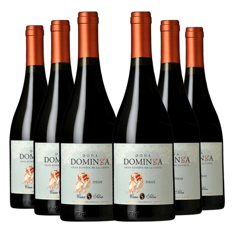 DOÑA DOMINGA - 6 Vinos Doña Dominga Reserva De Familia Syrah