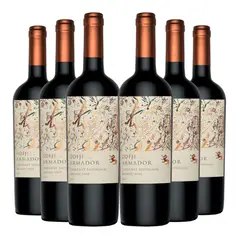 ODFJELL - 6 Vinos Armador Cabernet Sauvignon