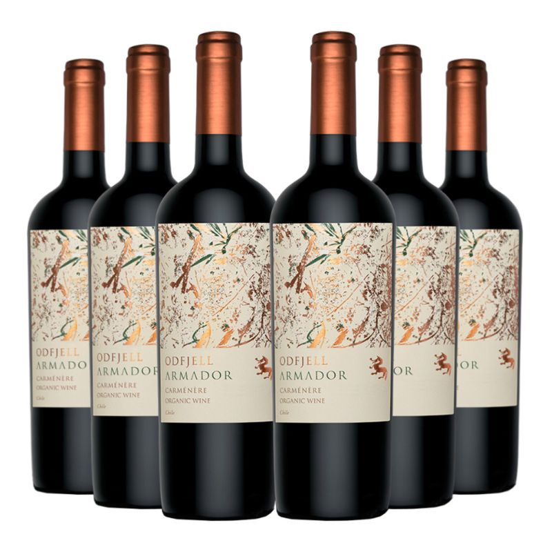 ODFJELL - 6 Vinos Odfjell Armador Carmenere
