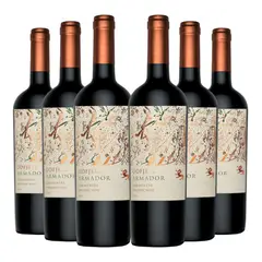 ODFJELL - 6 Vinos Armador Carmenere