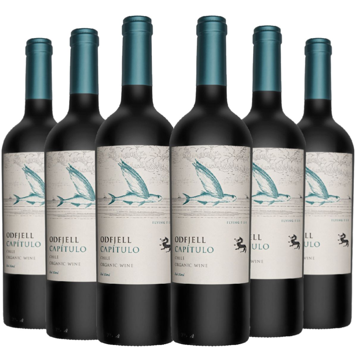 ODFJELL - 6 Vinos Odfjell Capitulo Ensamblaje
