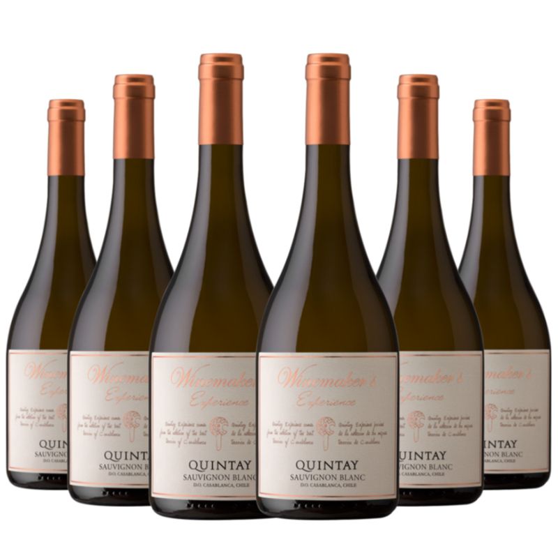 QUINTAY - 6 Vinos Quintay Experience Sauvignon Blanc