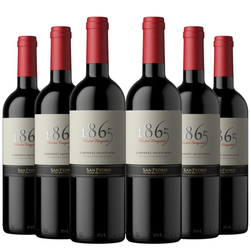 SAN PEDRO - 6 Vinos San Pedro 1865 Cabernet Sauvignon