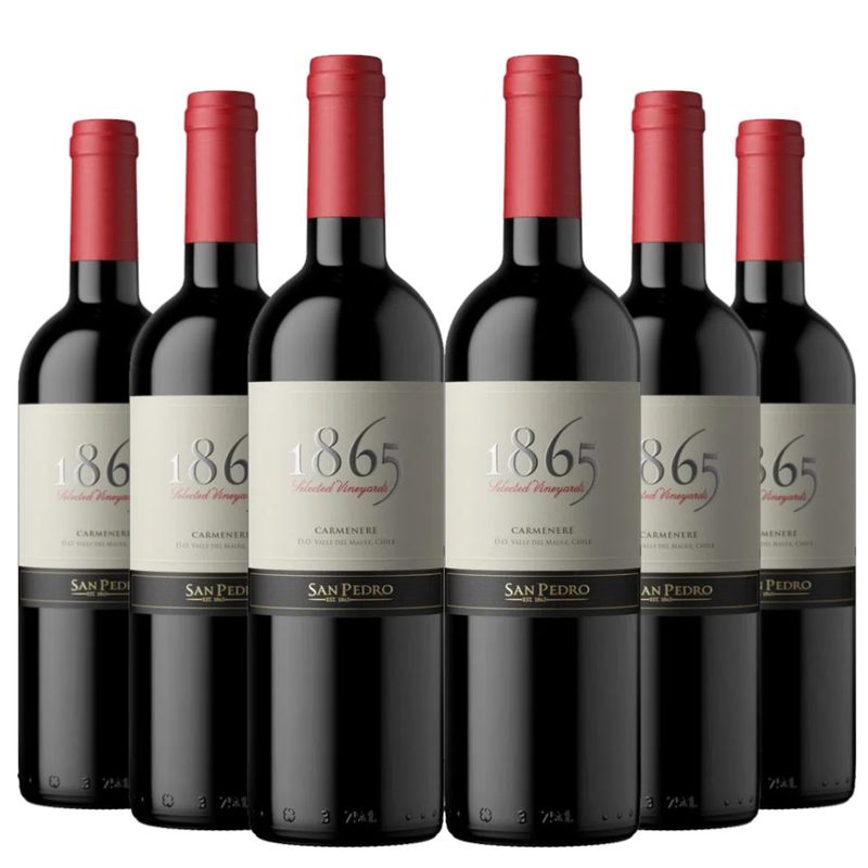 SAN PEDRO - 6 Vinos San Pedro 1865 Carmenere