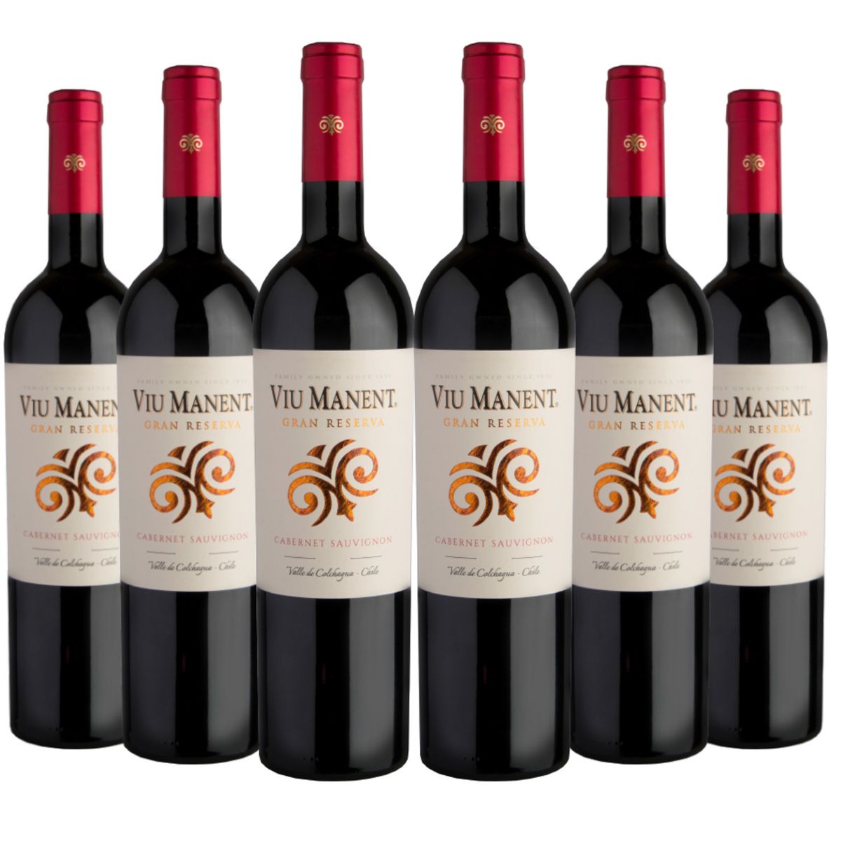 VIU MANENT - 6 Vinos Viu Manent Gran Reserva Cabernet Sauvignon