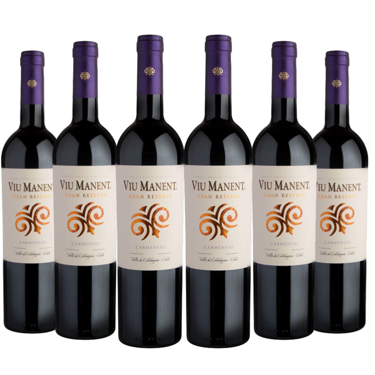 VIU MANENT - 6 Vinos Viu Manent Gran Reserva Carmenere