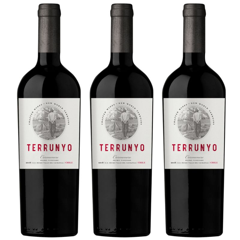 CONCHA Y TORO - 3 Vinos Concha Y Toro Terrunyo, Carmenere