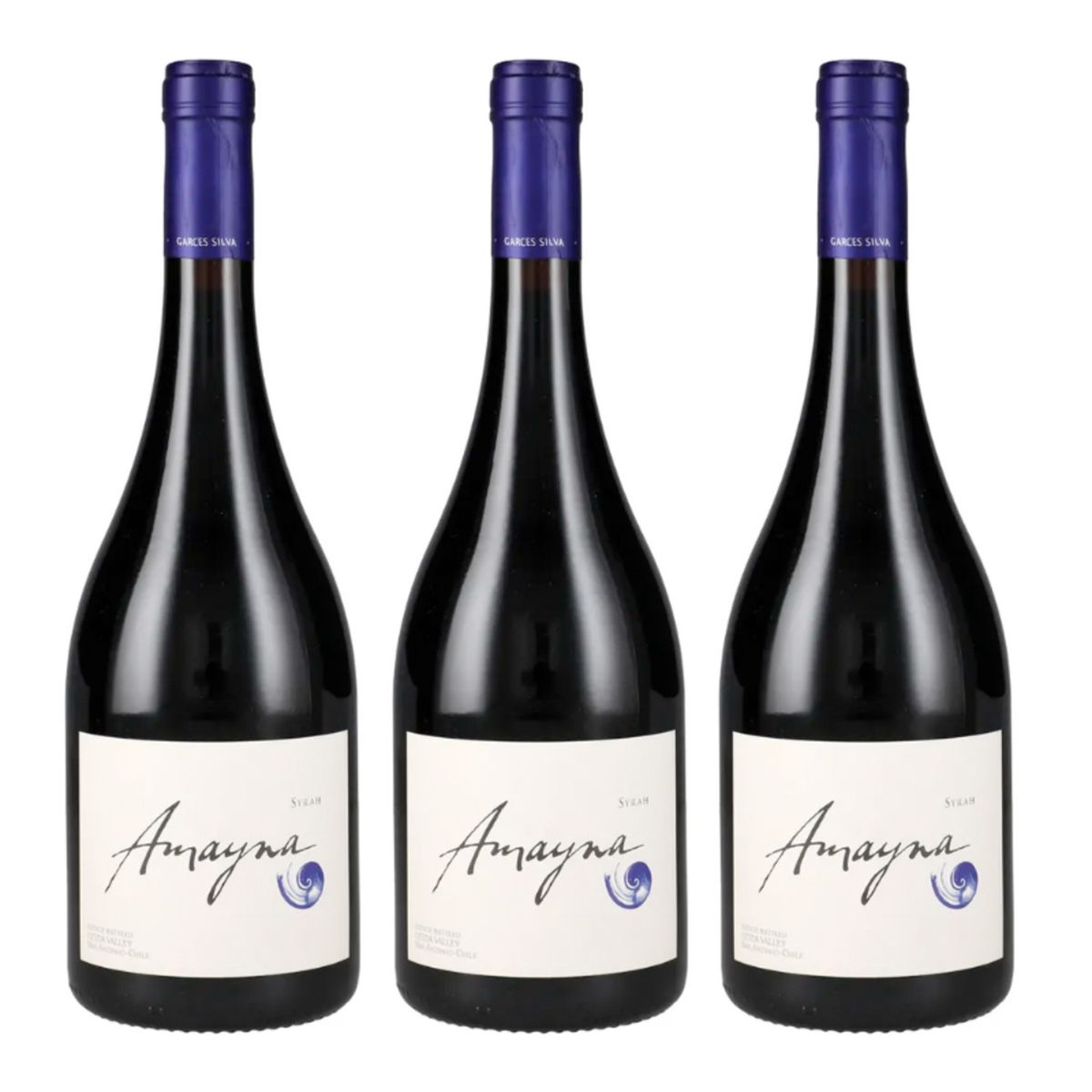 VINA GARCES SILVA - 3 Vinos Garces Silva Amayna Syrah