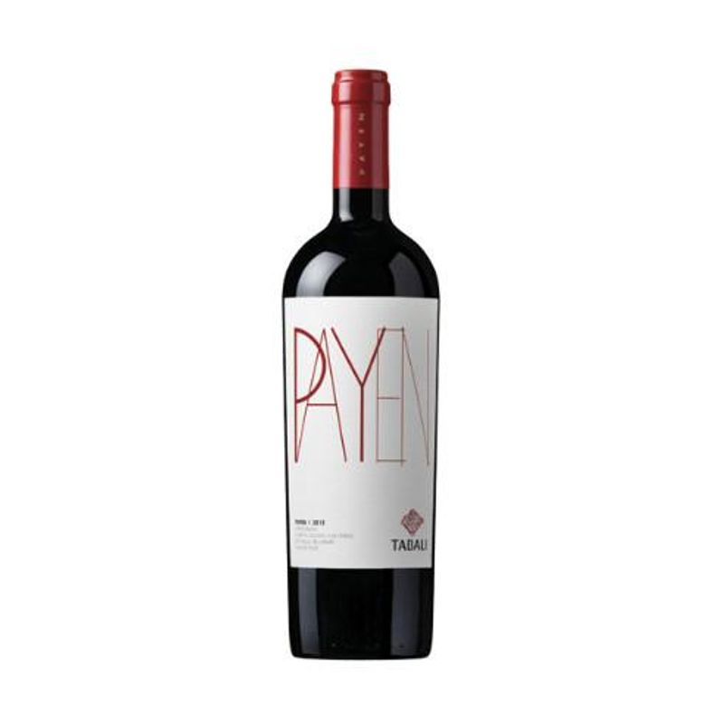 TABALI - Vino Tabali Payen Syrah - Rojo