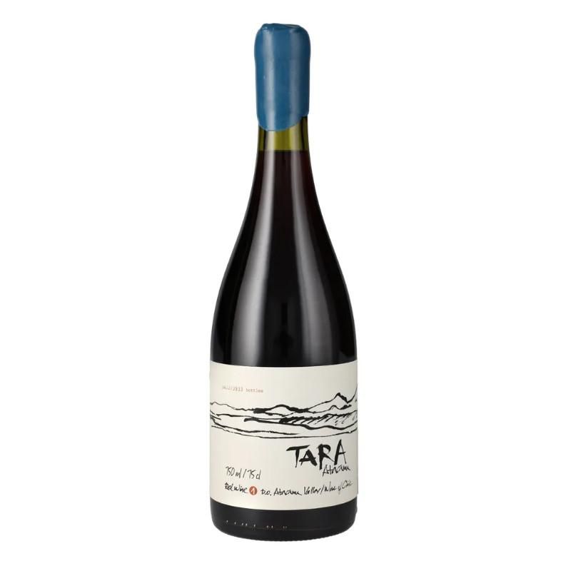 VENTISQUERO - Vino Ventisquero Tara Atacama Pinot Noir - Rojo